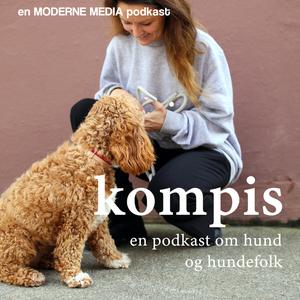 Kompis