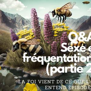 Ép. 95 : Encore plus de questions/réponses sur le sexe et les fréquentations
