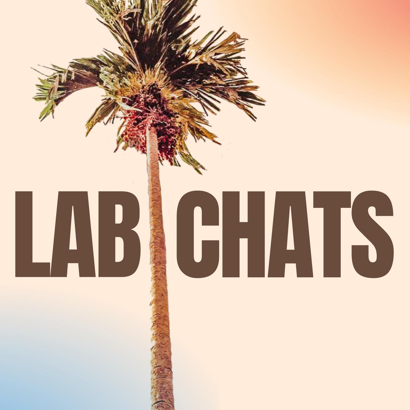 Lab Chats with Social Lab (podcast) - Daniel Wilmott | Listen Notes