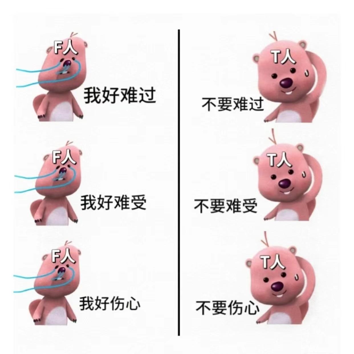 MBTI T/F篇】f人情绪化吗？人类大脑有一坨生物组织主管“情绪”！ - Lady First (podcast) | Listen Notes