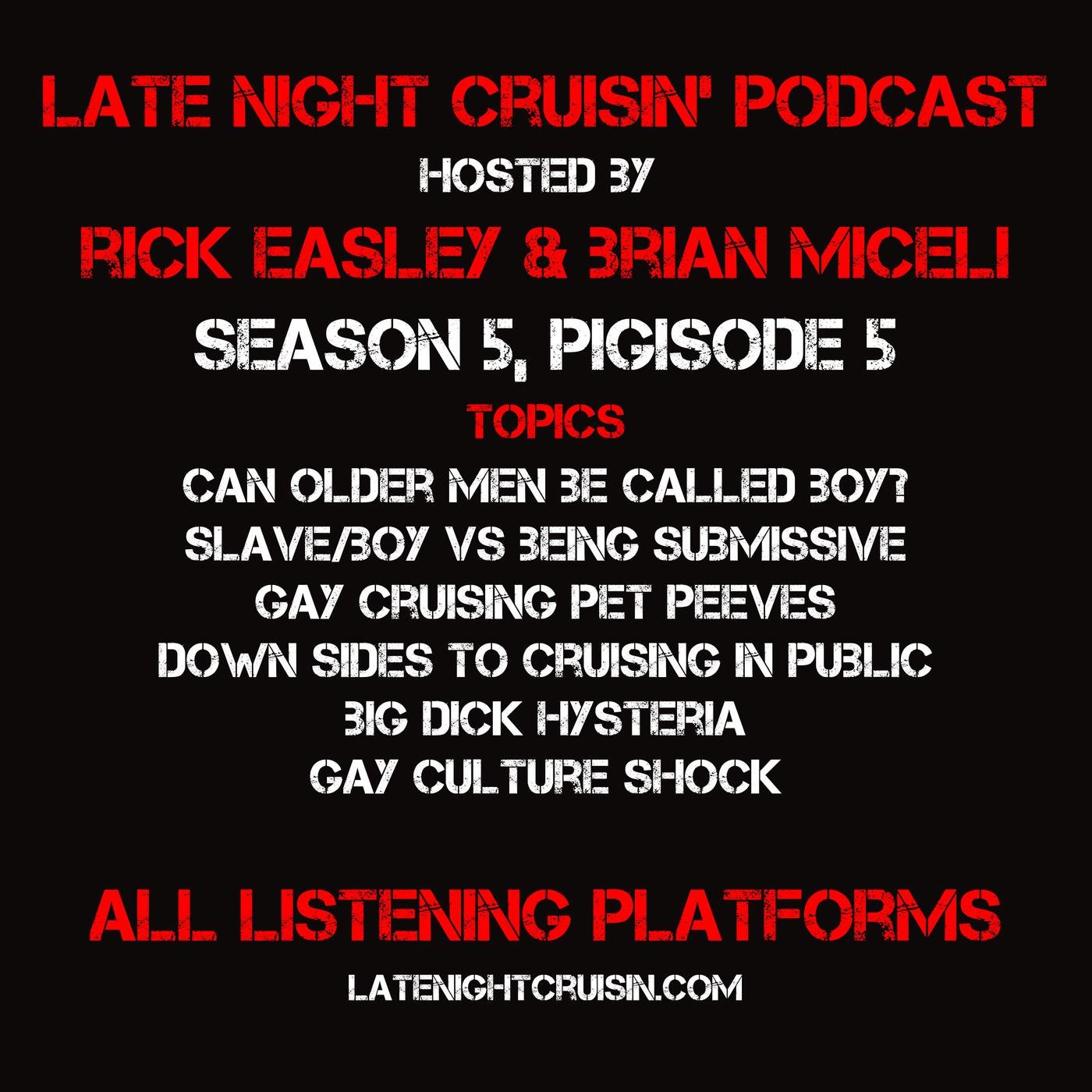 S5P5 - Gay Cruising Pet Peeves, Big City Gay Culture Shock, & Big Dick  Hysteria | Listen Notes