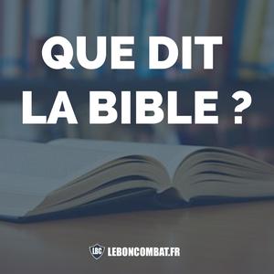 #80 – La Bible emploie-t-elle un langage sexuellement explicite ?