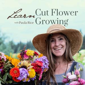 Learn Cut Flower Growing | Lessons From a Seasoned Flower Farmer