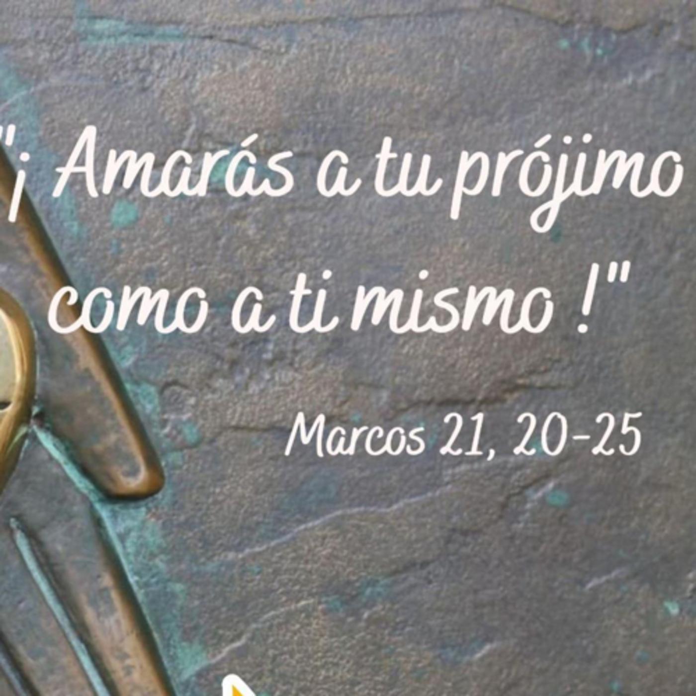 Evangelio del Jueves 6 de Junio. Marcos 12,28-34 - Lectura del Santo ...