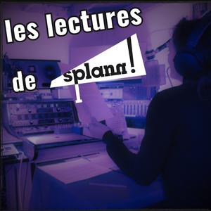 « Splann ! » : lectures d'enquêtes