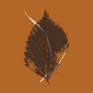 Episode 18: Compassion: “to suffer with.”