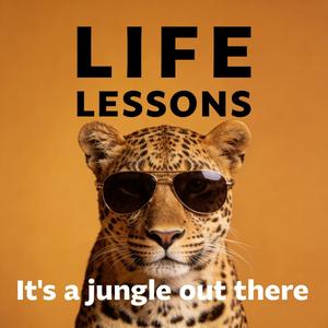 Life Lessons | Adulting, Social Connection & Resilience