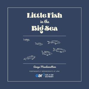 Little Fish in the Big Sea on Youth Zone