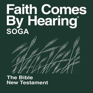 Lusoga Bible (Non-Dramatized)