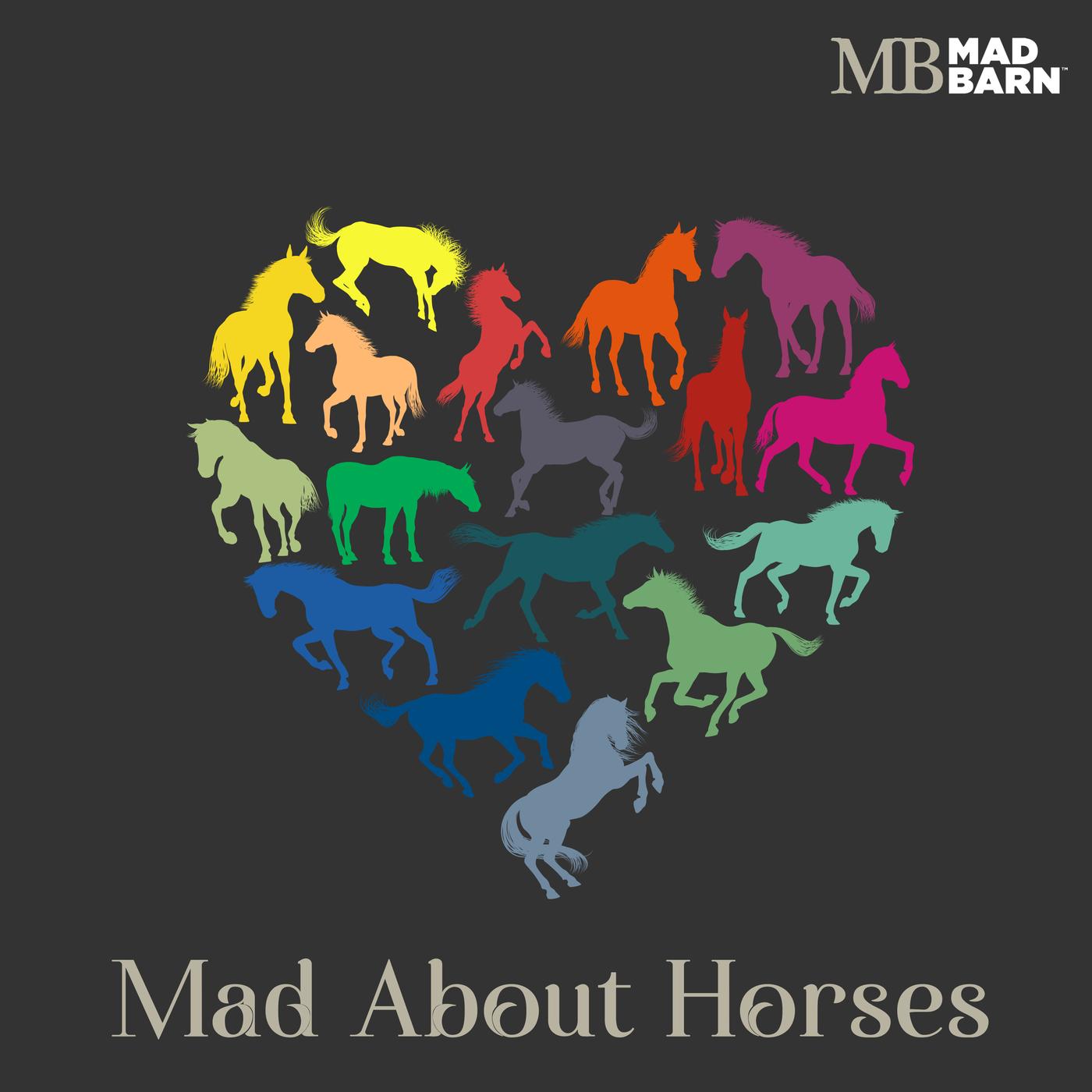 How Heat Stress Impacts Your Horse - Mad About Horses (podcast ...