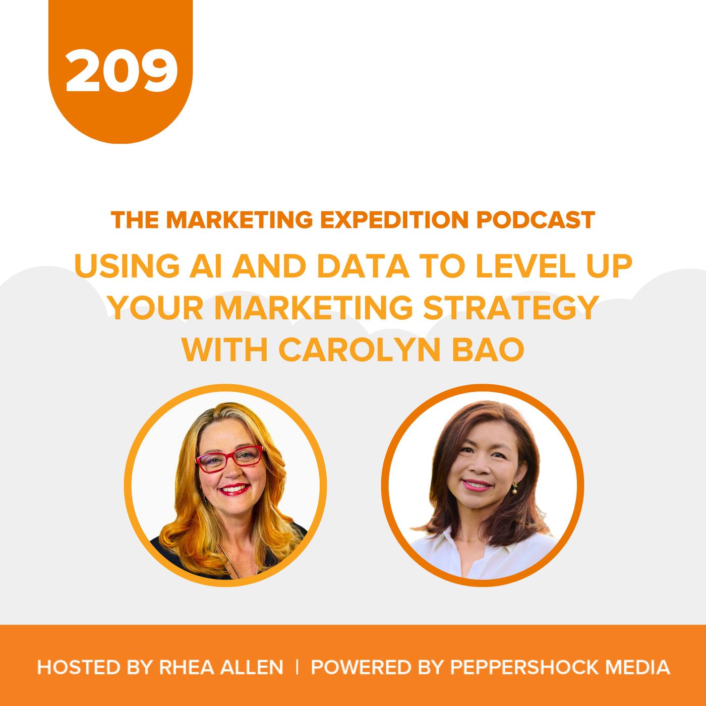 Using AI and Data to Level Up Your Marketing Strategy with Carolyn Bao ...