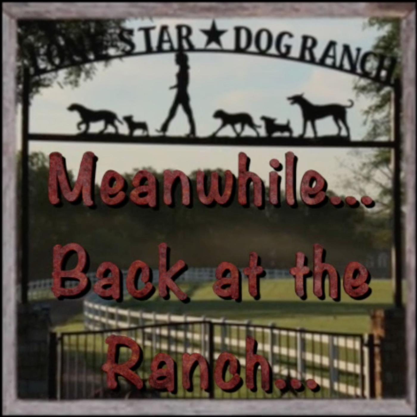 Meanwhile... Back at the Ranch... Episode 159B (Audio) | Listen Notes