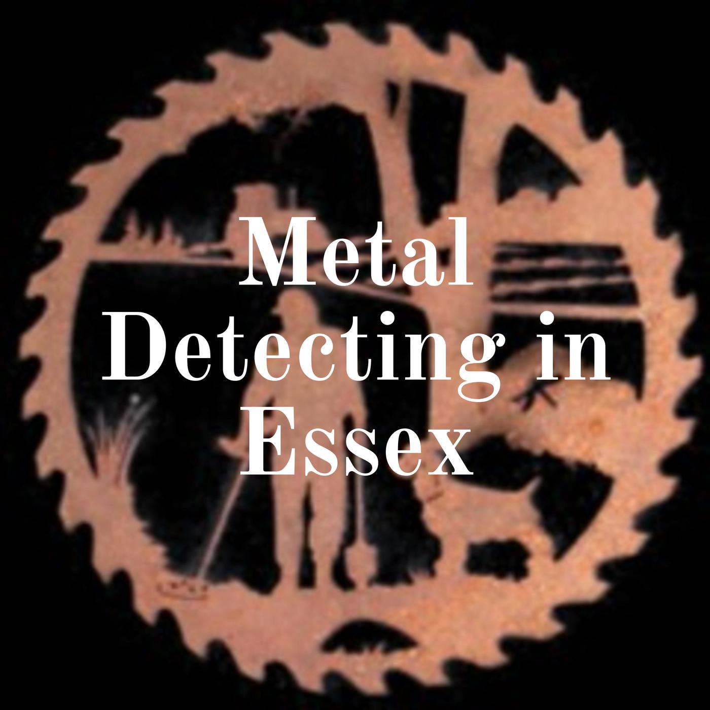 Metal Detecting in Essex