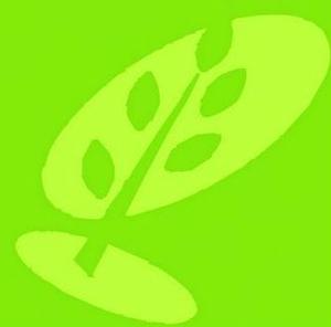 Mitchelton Presbyterian Church - Bible Talks