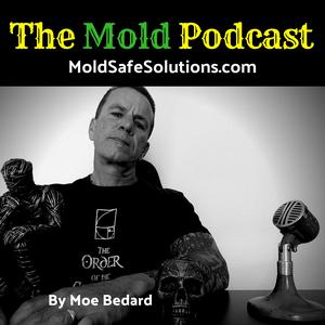 Mold Safe Solutions