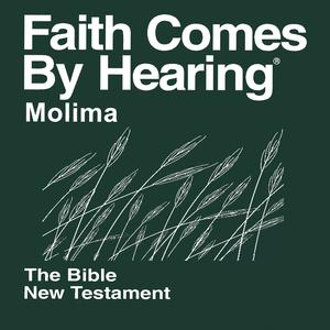 Molima Bible (Non-Dramatized)