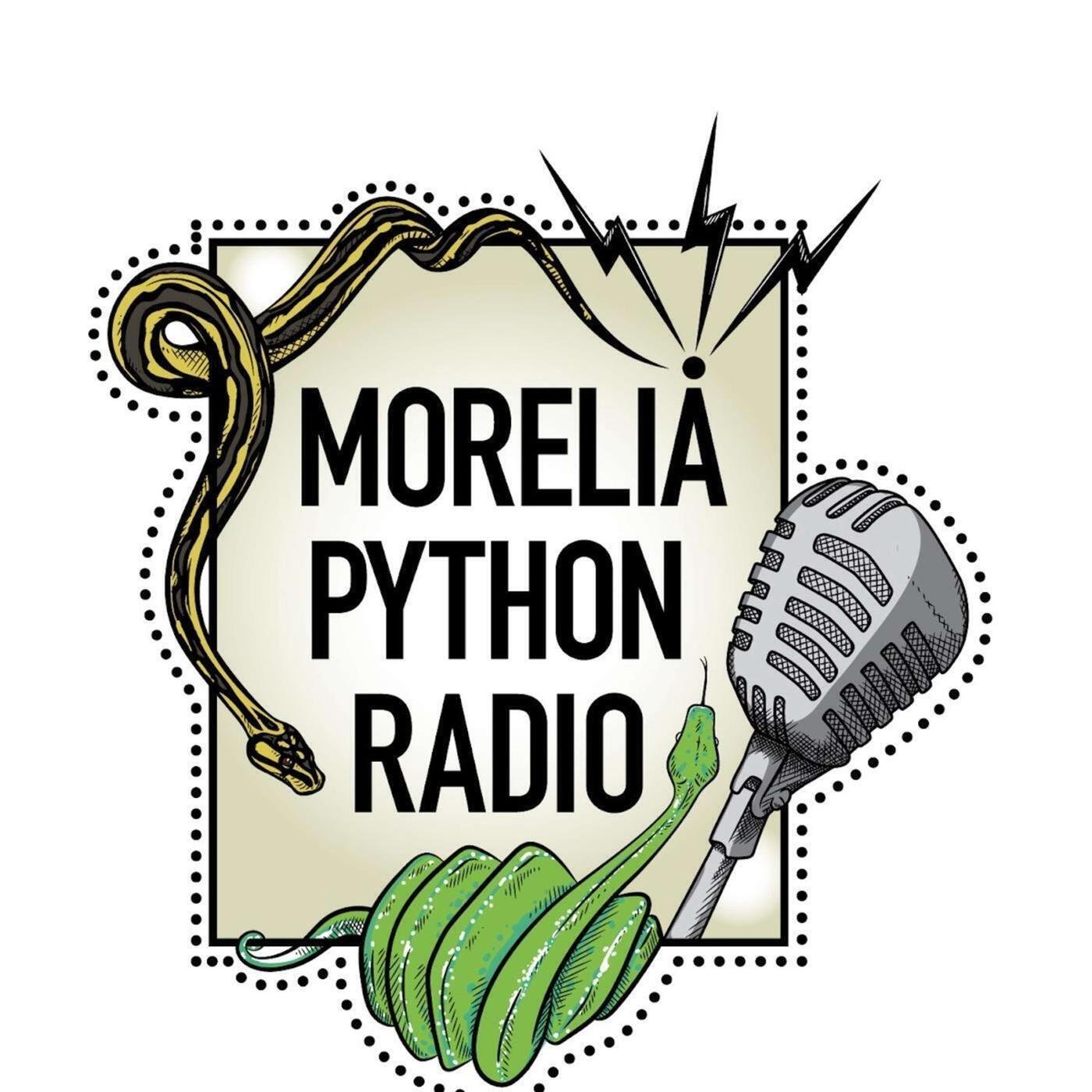 Python Eggs & Incubation with Dale DeNardo. - Morelia Python Radio ...