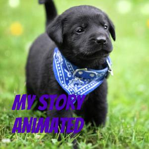 My story Animated 