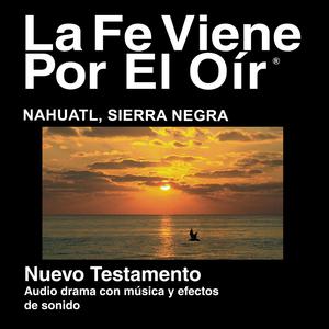 Nahuatl, Sierra Negra Biblia (dramatizada) - Náhuatl, Sierra Negra Bible (dramatized)