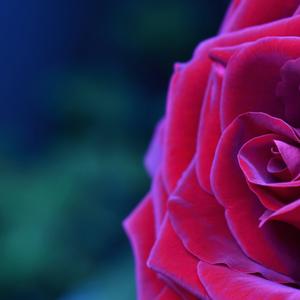 What Is A Yoni? - Naked Human (podcast) | Listen Notes