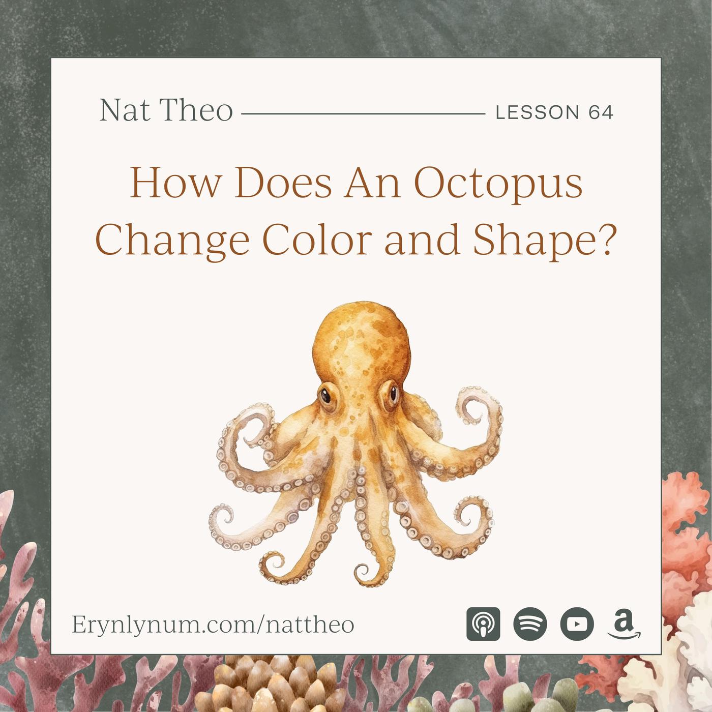 Nat Theo Nature Lessons Rooted in the Bible (podcast) - Eryn Lynum ...