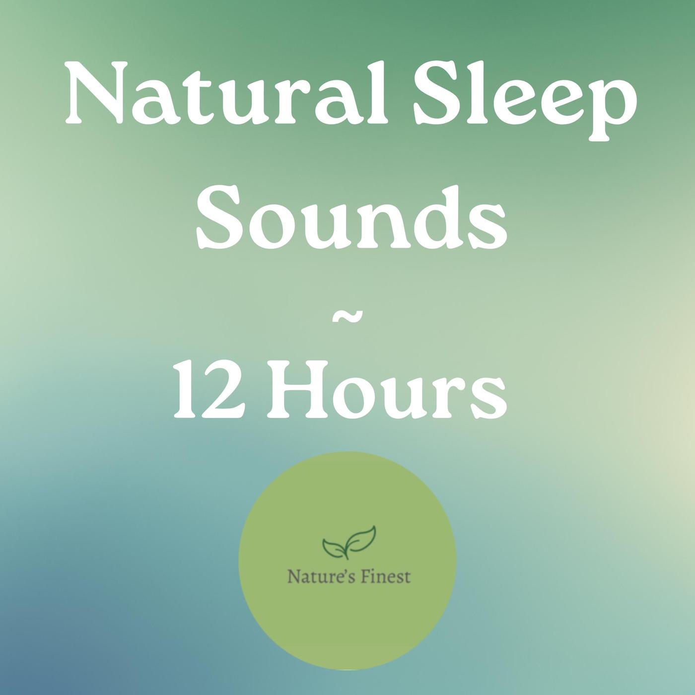 Nature‘s Finest Podcast: White Noise & Sleep Sounds for 12 Hours Baby & Adult Sleep