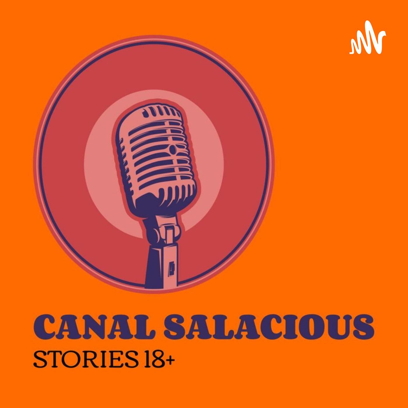 NAUGHTY WIFE SEX STORY - Naughty Canal Salacious Stories 18+ (podcast) |  Listen Notes