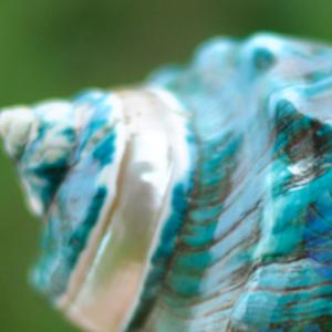 19.Nàng tiên Ốc/Truyện cổ Việt Nam/Nghe truyện cùng Tony/