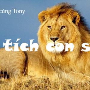 9. Sự tích con sư tử/Nghe truyện cùng Tony/