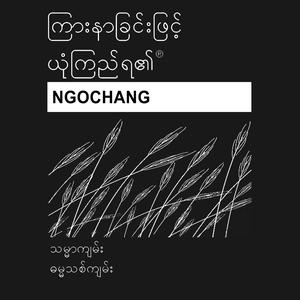 Ngochang Bible (Non-Dramatized)