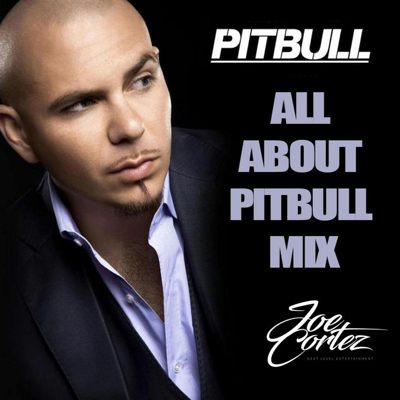 Pitbull Mix -- Maui Dj Joe Cortez - Nle Mixes (podcast) 