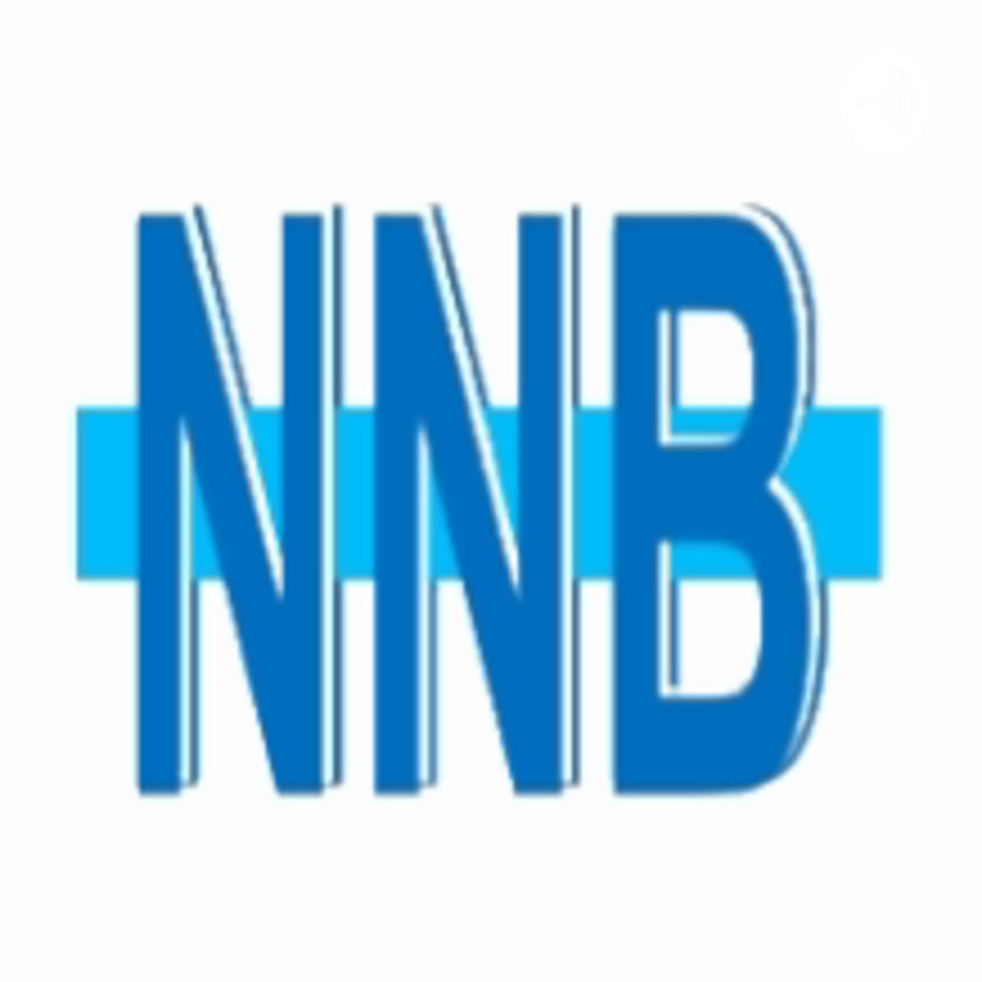 NNB News - Mike Palmer