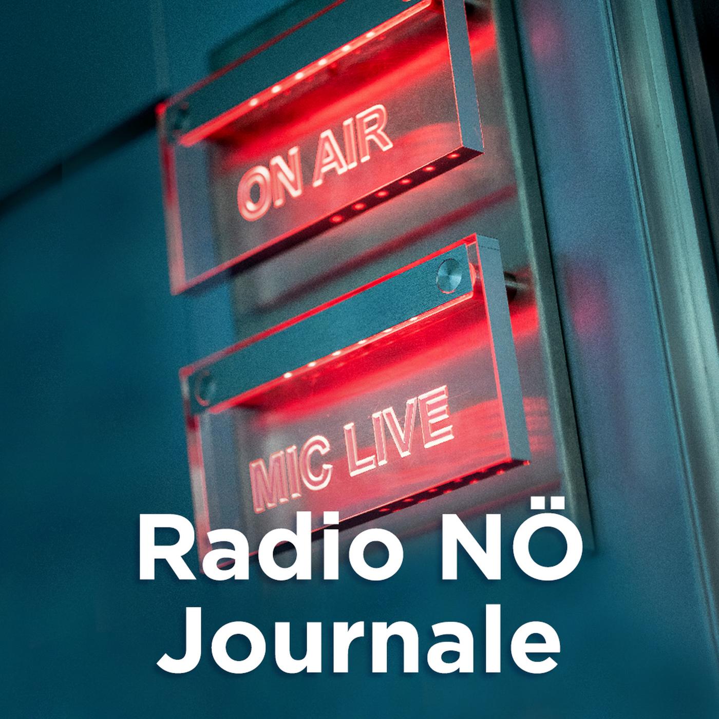 Journal um 12.00 Uhr, 25.05.2025