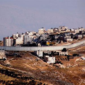 Jewish Institutions and Anti-Zionism