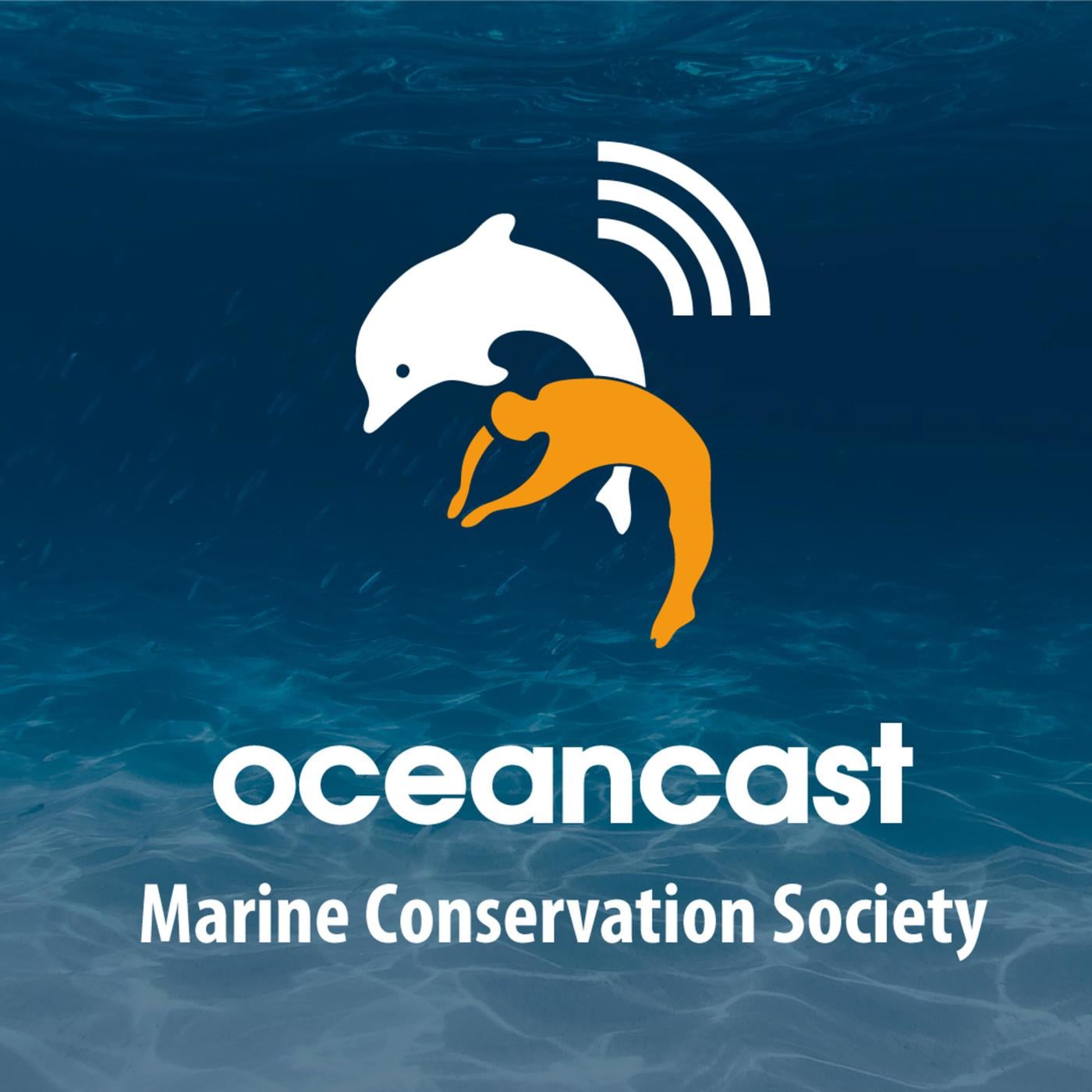 Oceancast (podcast) - the Marine Conservation Society | Listen Notes, image size:1400x1400