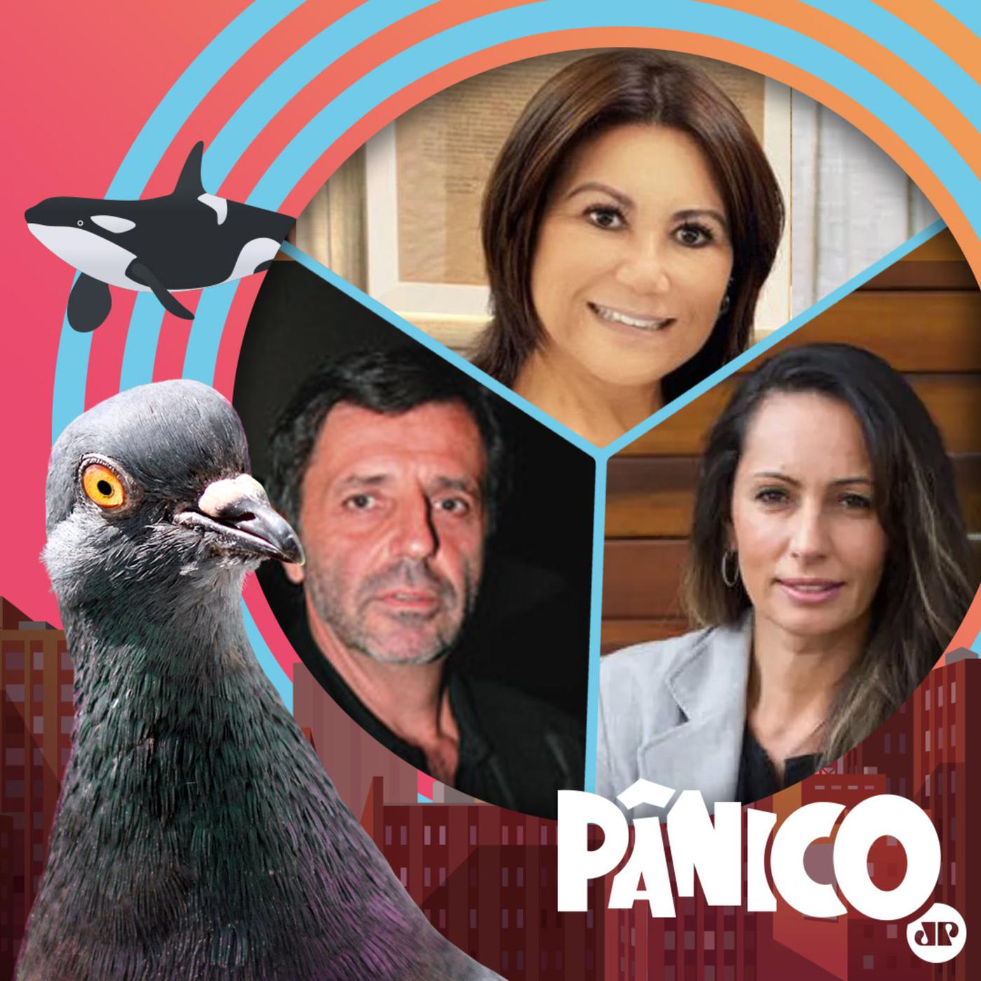 PÂNICO - 08/03/2021 - Elisabete Sato, Delegado Nico e Ana Paula Henkel |  Listen Notes