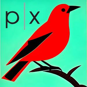 Parallax Poetry Salon #17 - Ryan O'Connell and Suchismita Ghoshal