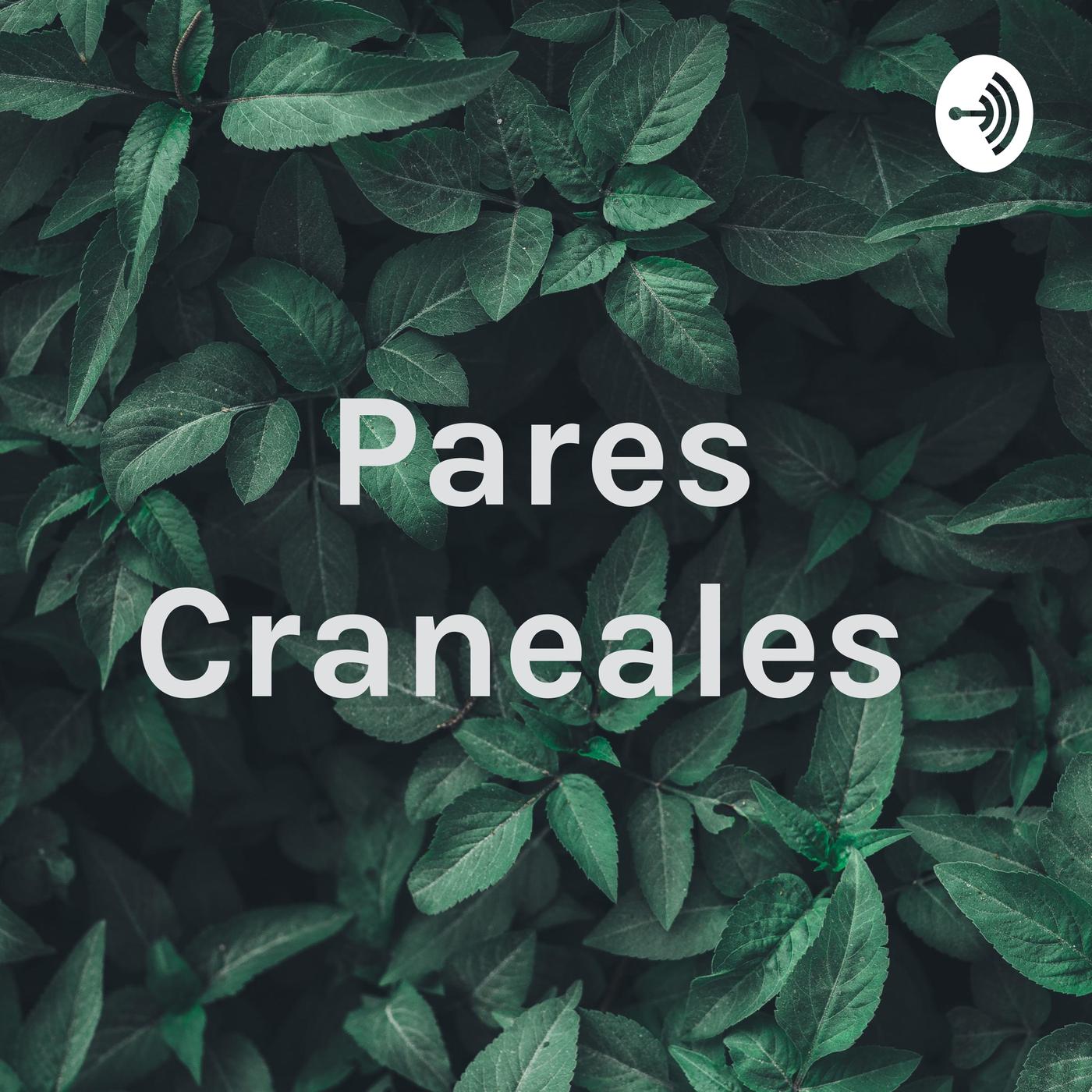 Pares Craneales Pares Craneales Podcast Listen Notes