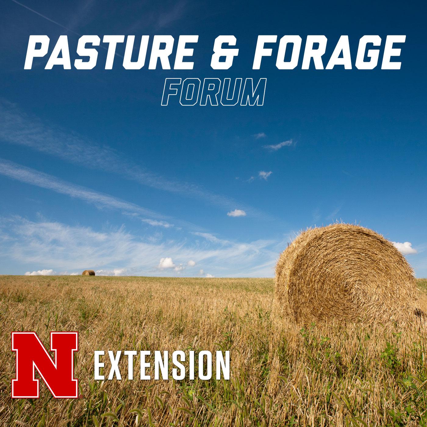 Evaluating Alfalfa Stands – Stand Counts - Pasture And Forage Minute 