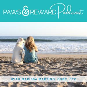 Ep 43: Inter-household Aggression with Michael Shikashio