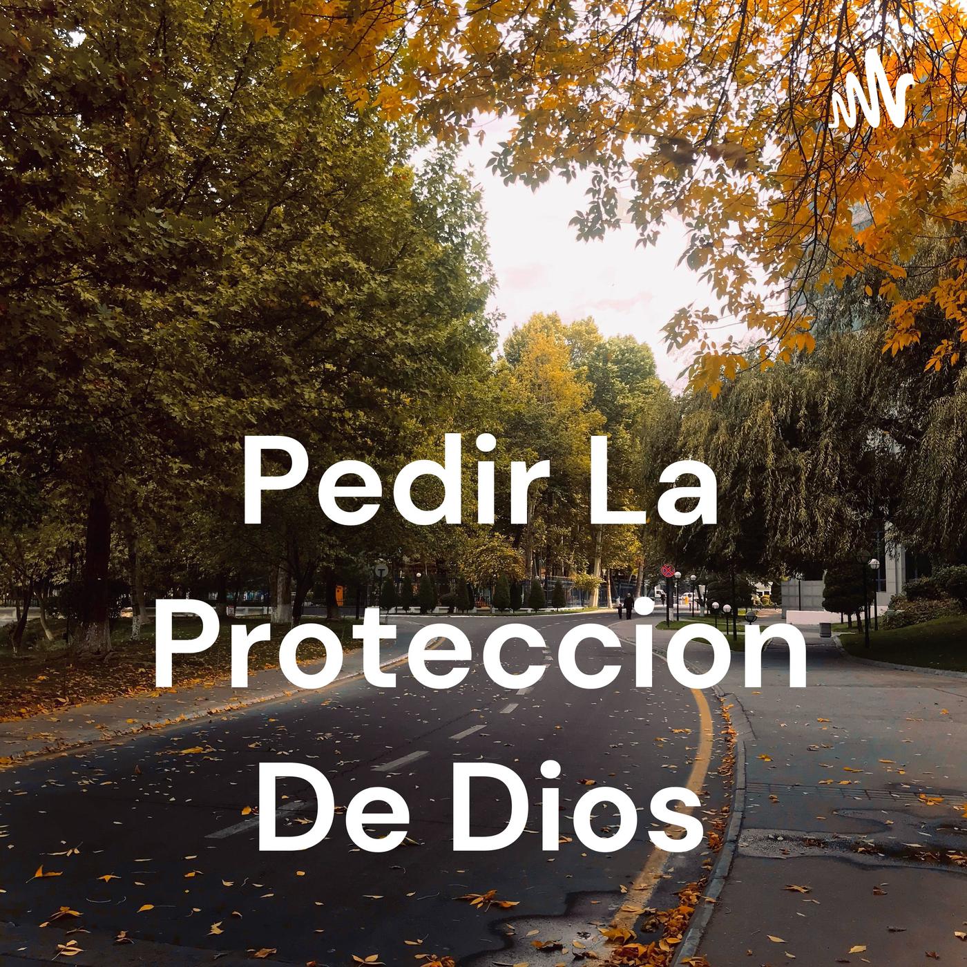 Pedir La Proteccion De Dios (podcast) - David M. Mora Rojas | Listen Notes, image size:1400x1400