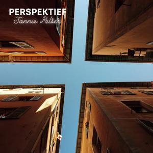 Perspektief
