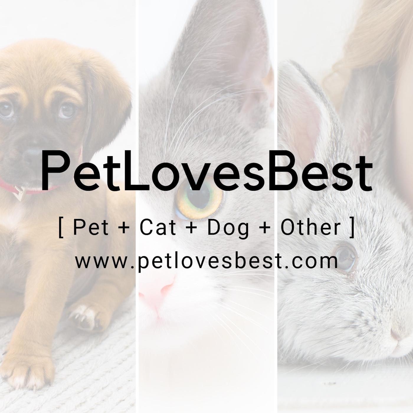 PetLovesBest