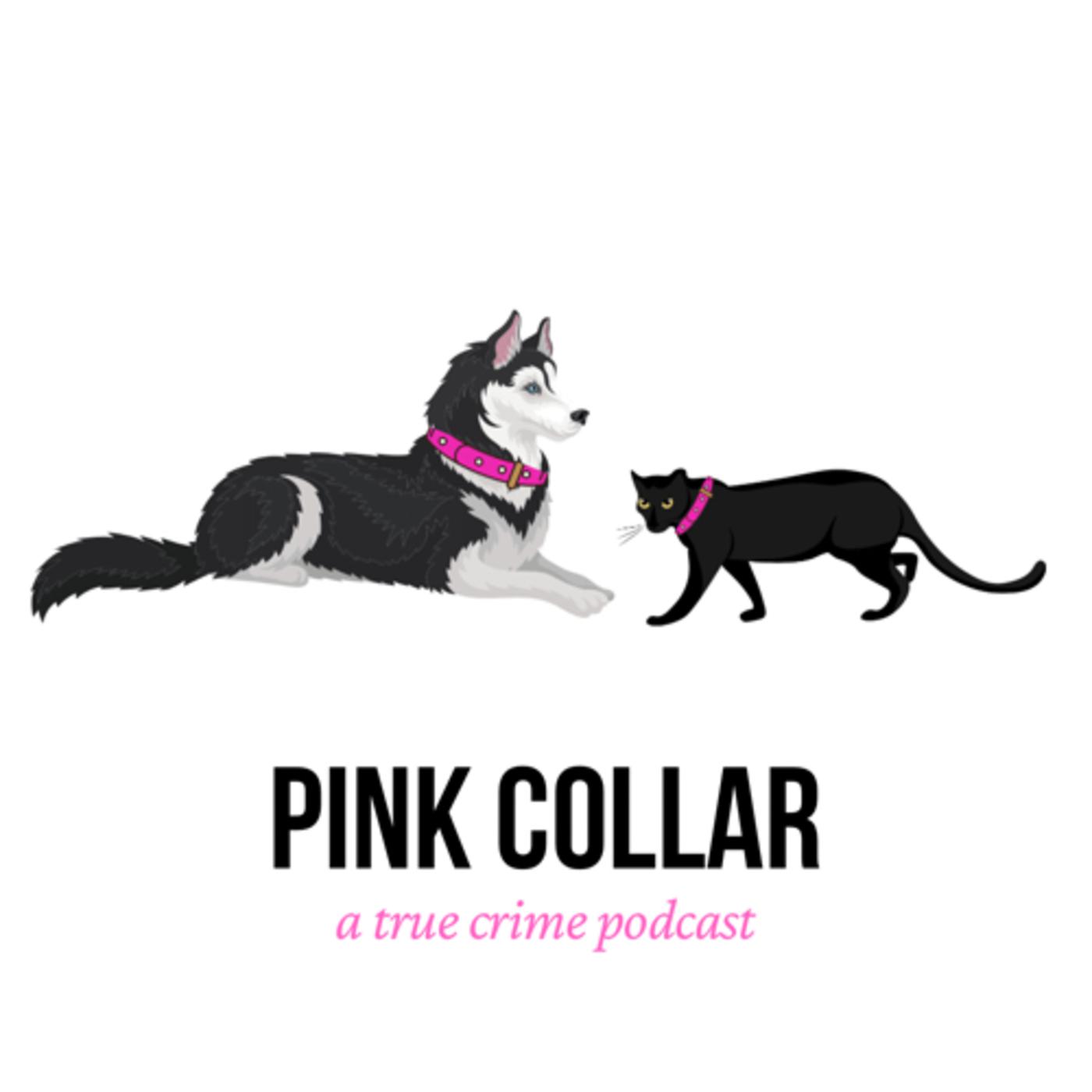 41. Animals: Sandra Herold & Amy Cooper - Pink Collar: A True Crime Podcast  | Listen Notes