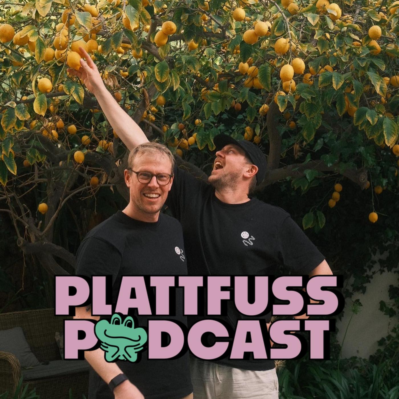 Die arrogante Folge