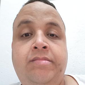 #03 - Desdobramentos e parecer FINAL do Caso Nina Chambers - PODCAST DO PAULINO