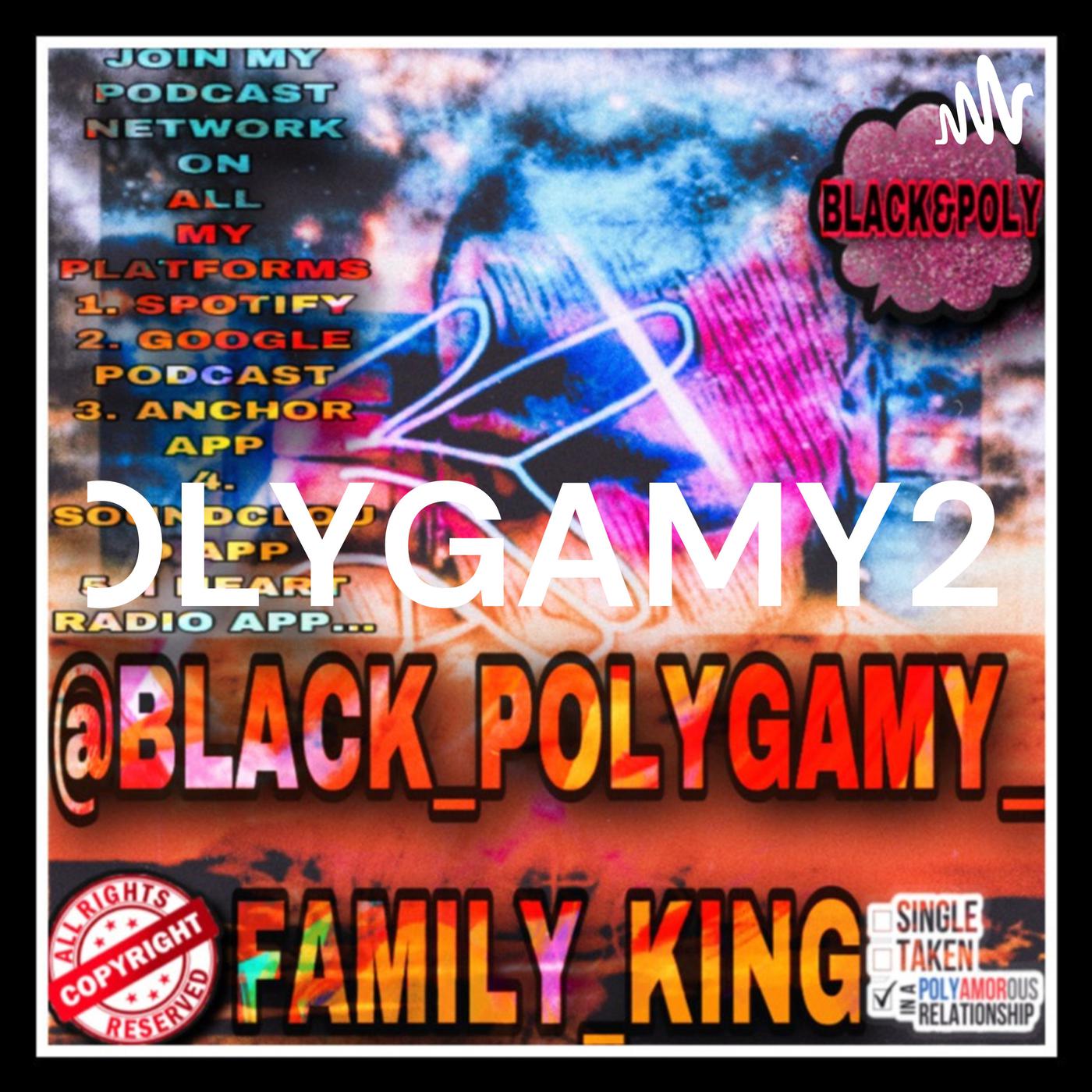 YOU GOT IT GIRL POLY LIFESTYLE - @POLYGAMY2035 (podcast) | Listen Notes