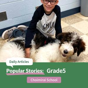 Popular Stories, Grade5
