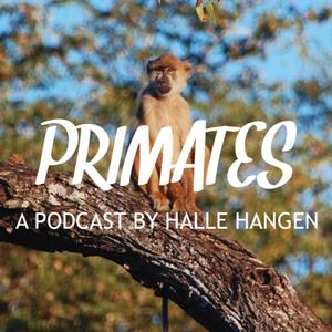 Primates