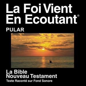 Pular Bible